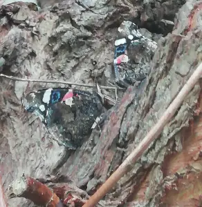 Pat 08 Ruzie of liefde